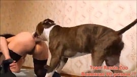 Русское зоо порно: большое видео траха бабы с собакой