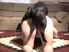 Порно с собакой: любительское видео траха женщины с псом